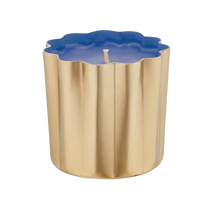 Load image into Gallery viewer, Citrus Crush Fragrance Collection