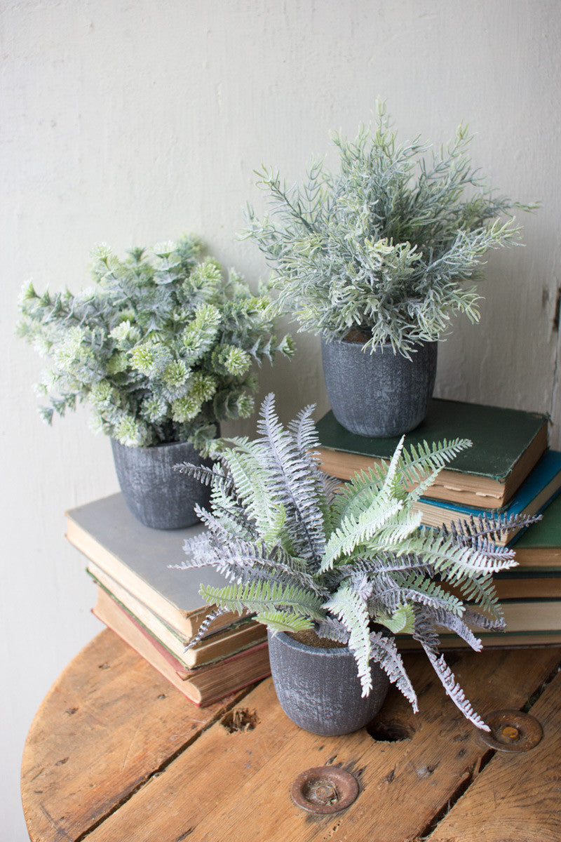 Potted Faux Fern - 3 styles