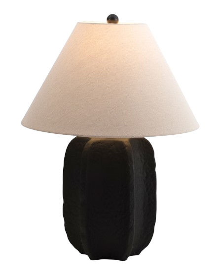 Black Starfruit Lamp