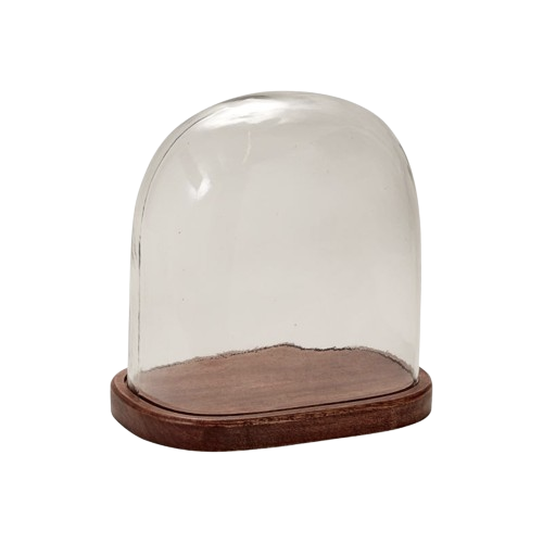 Glass Cloche w/ Wooden Base