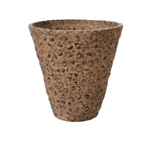 Andi Planter