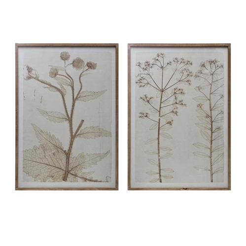 Sepia Floral Framed Art, 2 styles