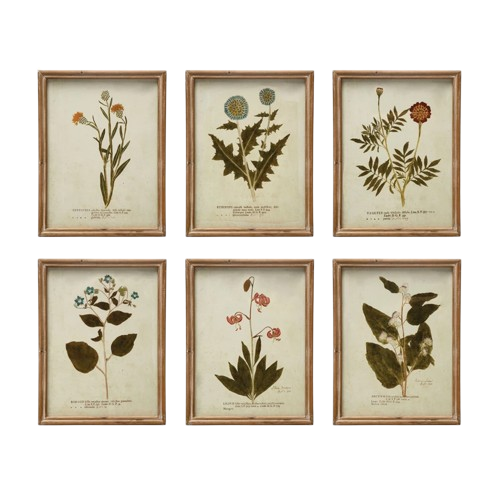 Botanical Framed Art, 6 styles