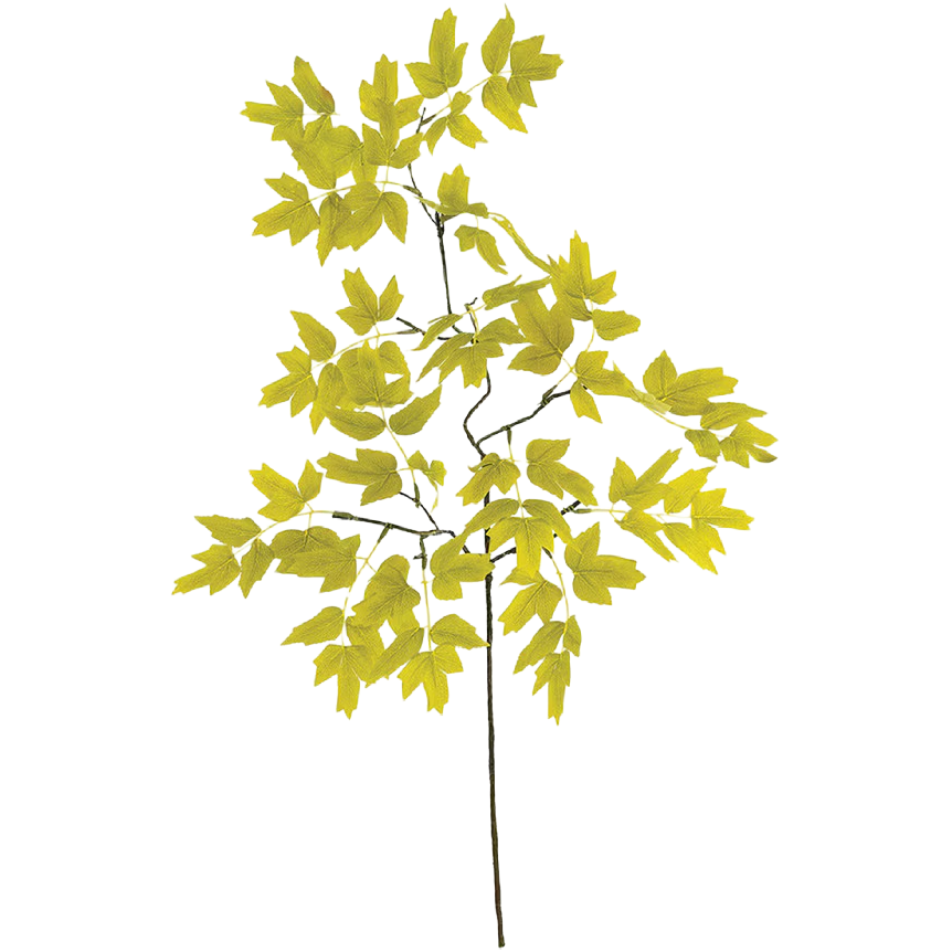 Yellow Green Leaf Pick