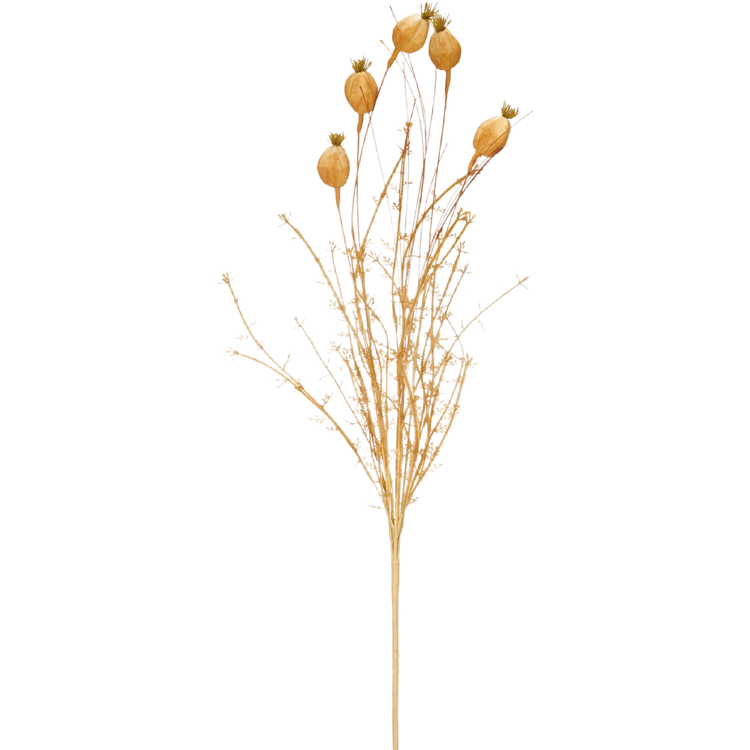 Dried Reeds Pick