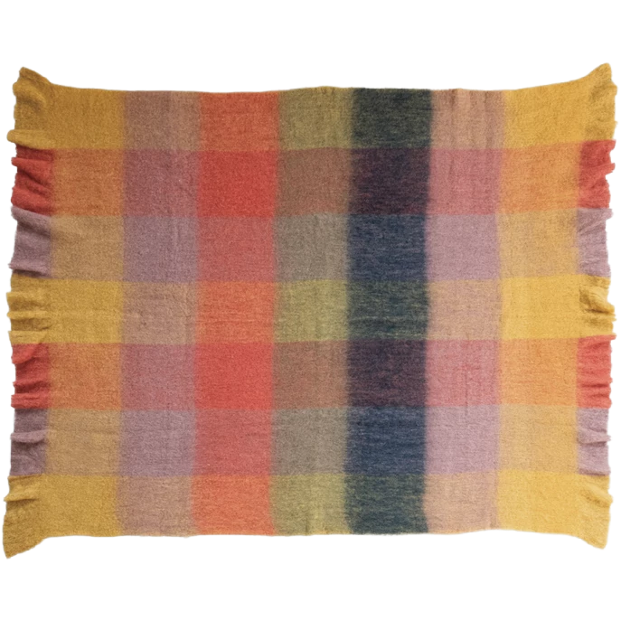 Multicolor Plaid Throw Blanket - 60