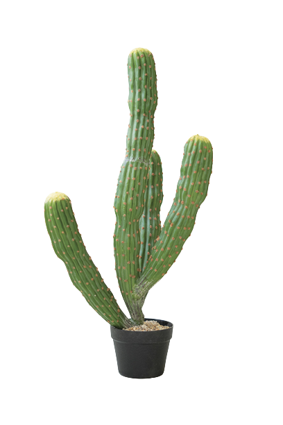 Faux Cactus