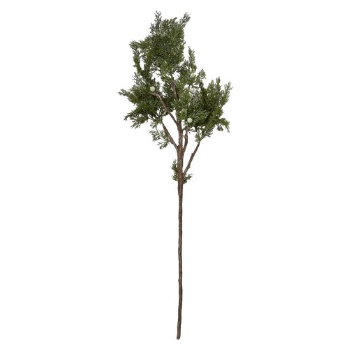 Juniper Spray